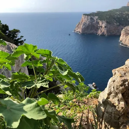 La Casetta Nel Verde Hébergement de vacances