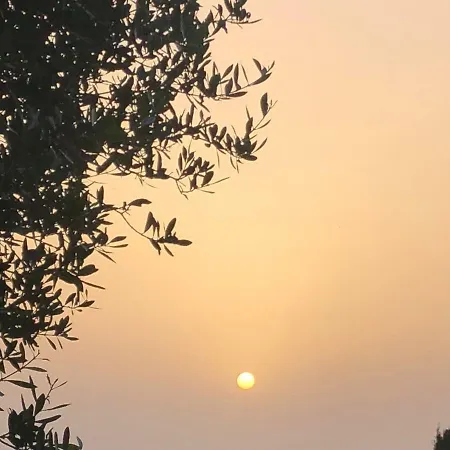 La Casetta Nel Verde * Sassari