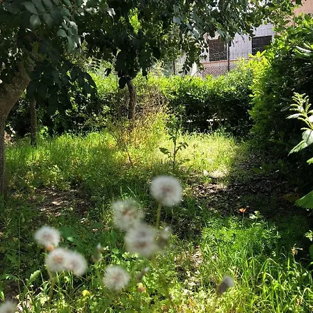La Casetta Nel Verde