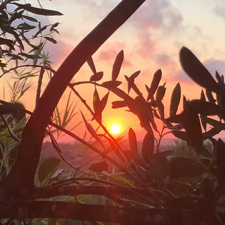 La Casetta Nel Verde Hébergement de vacances Sassari